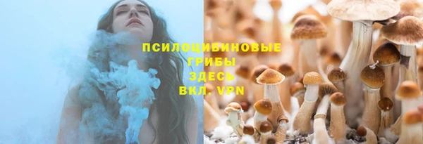 МДПВ Белокуриха