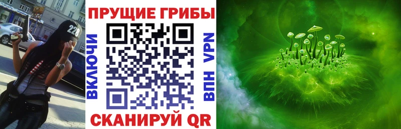 Псилоцибиновые грибы мицелий  наркошоп  mega ссылки  Урус-Мартан 
